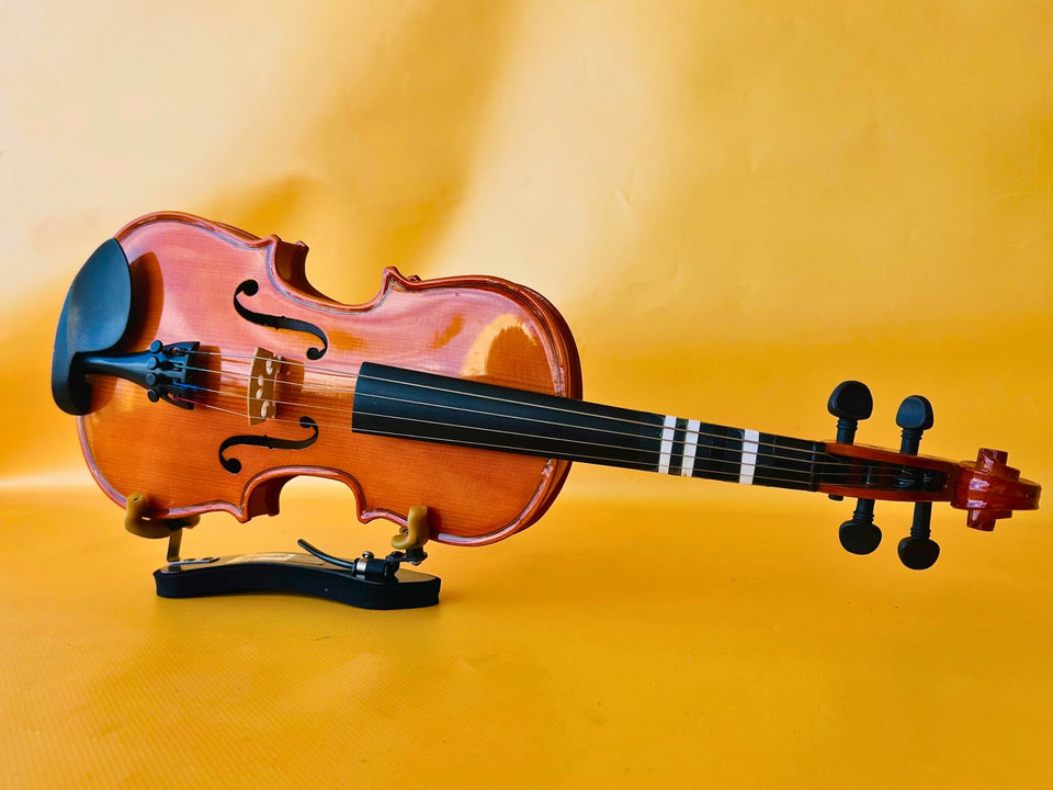 Student Violin Outfit 1/2 Size - Vintage Natural Wood Finish - Complete Starter Kit with Case & Bow