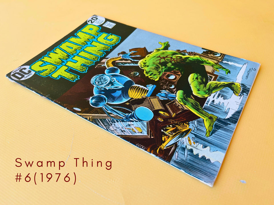 Swamp Thing #6 original DC Comics October 1973 Bronze Age horror comic featuring Bernie Wrightson cover artwork