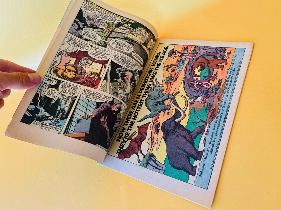 Interior pages of Swamp Thing #6 displaying original 1973 artwork advertisements and vintage comic content
