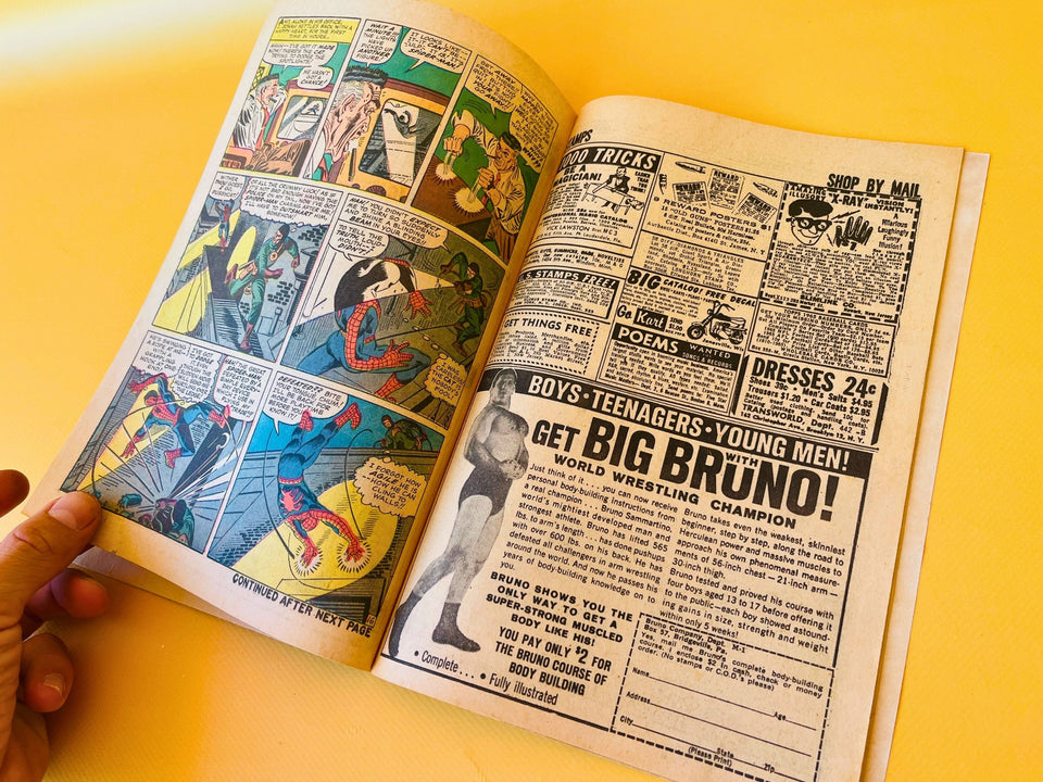 Amazing Spider-Man #30 (1965) | Silver Age Marvel Comic | Stan Lee & Steve Ditko | The Claws of the Cat