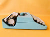 Working Typewriter Nakajima All Model 2000 Custom Cyan Blue